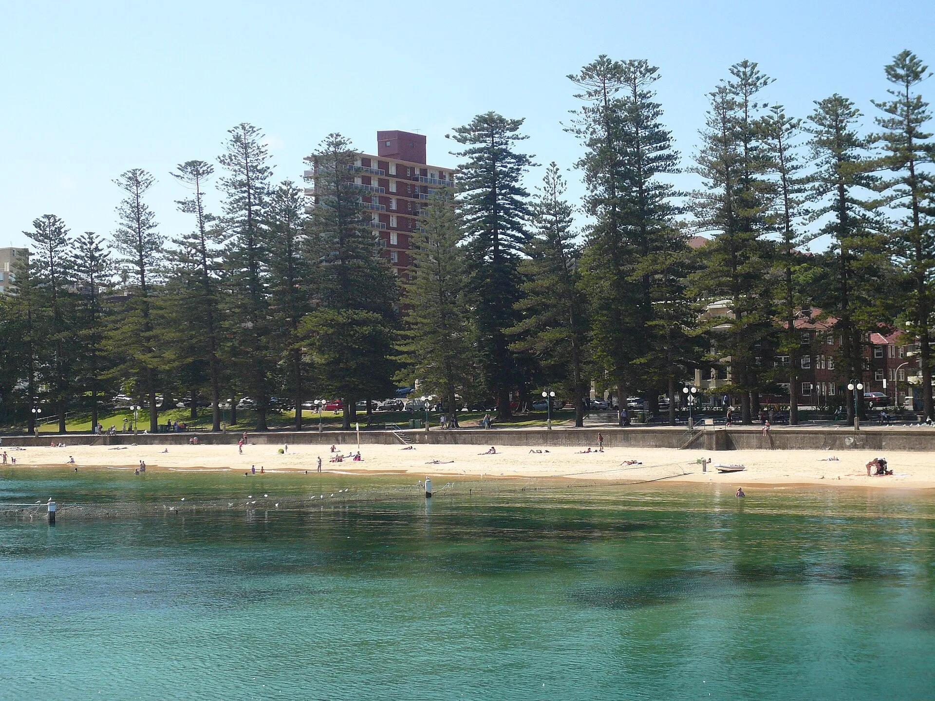 Kayak & Paddle at Manly